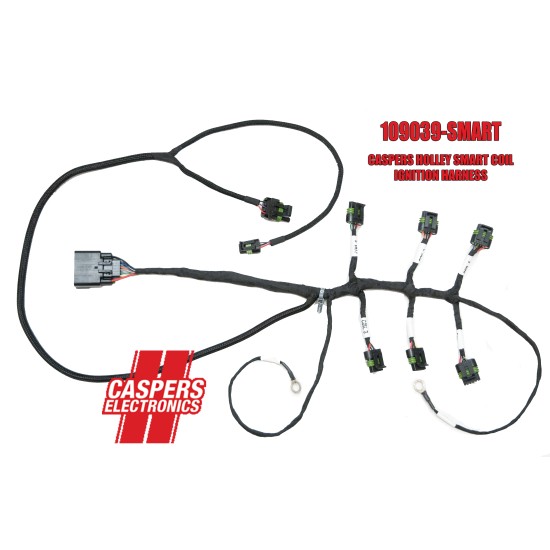 CASPERS 86/87 GN to Holley Engine Harness V2