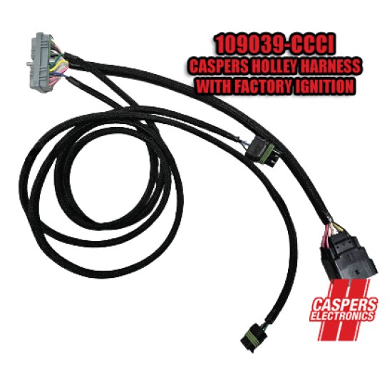 CASPERS 86/87 GN to Holley Engine Harness V2